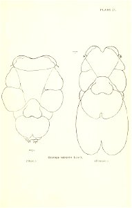 n714_w1150