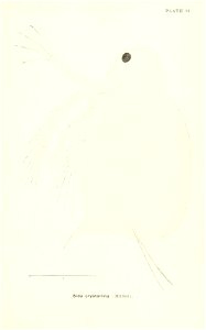 n684_w1150