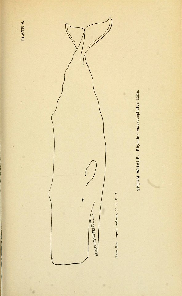 n258_w1150