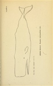 n258_w1150