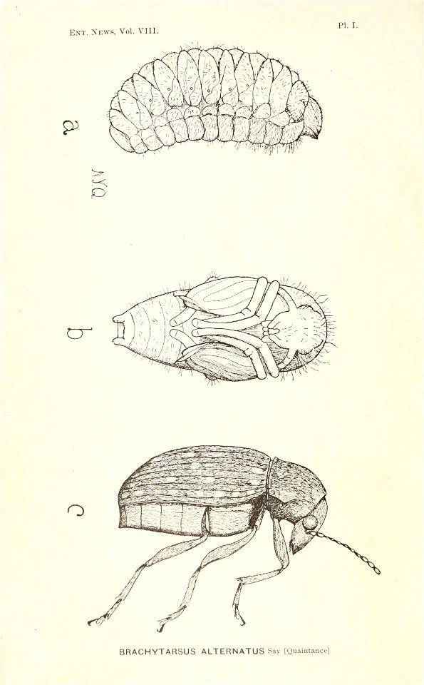 n13_w1150