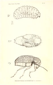 n13_w1150