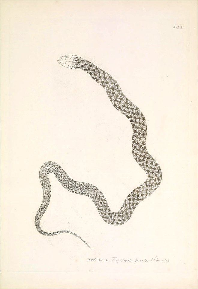 n138_w1150
