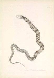 n138_w1150