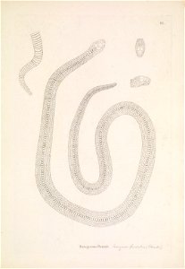 n78_w1150