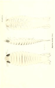 n828_w1150