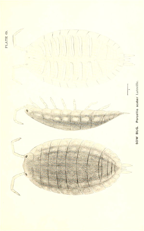 n798_w1150