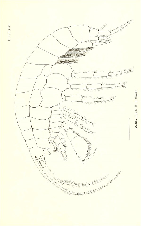 n768_w1150