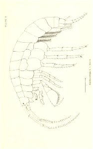 n768_w1150