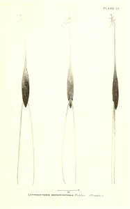 n708_w1150