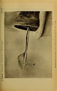 n908_w1150