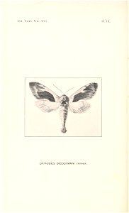 n267_w1150