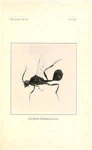 n254_w1150