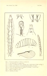 n319_w1150