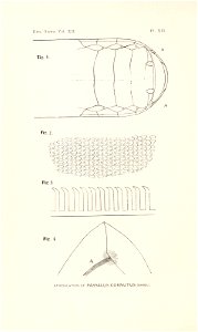 n315_w1150