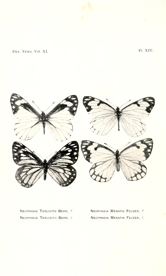 n269_w1150