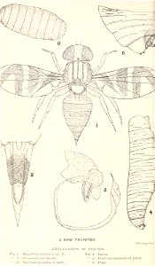 n73_w1150