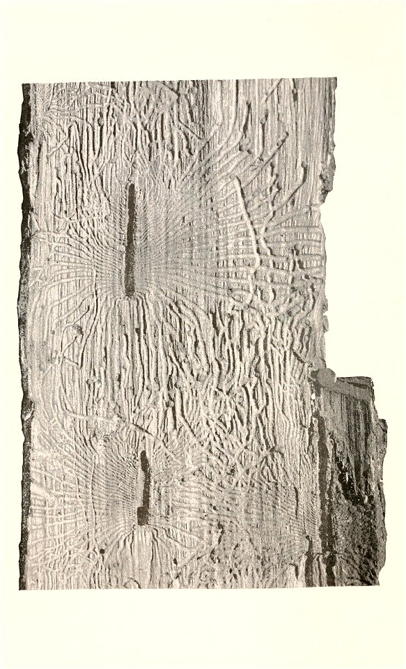 n289_w1150