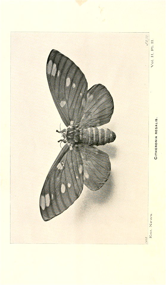 n211_w1150