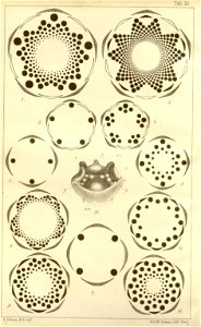 n219_w1150