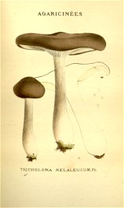 n199_w1150