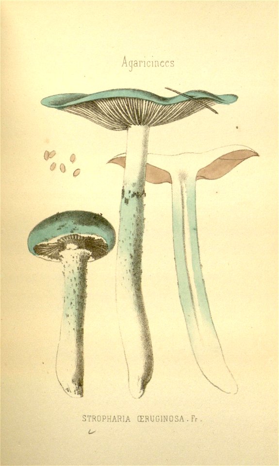 n168_w1150