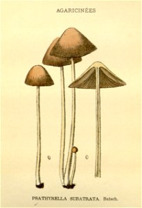 n108_w1150