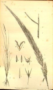 n361_w1150