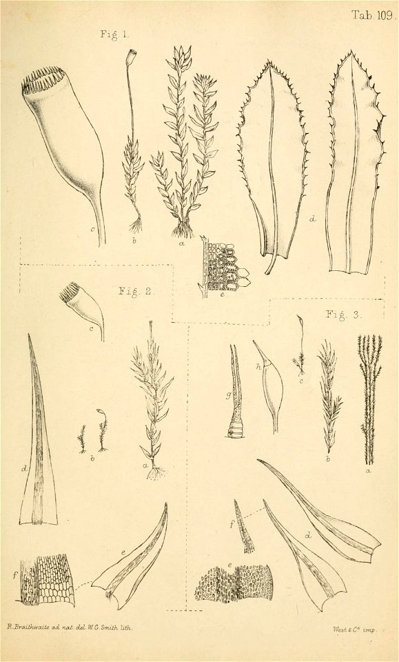 n396_w1150