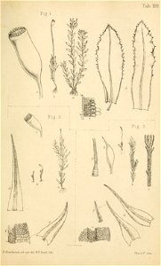 n396_w1150