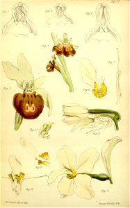 n176_w1150