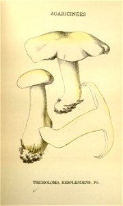n212_w1150