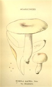 n137_w1150