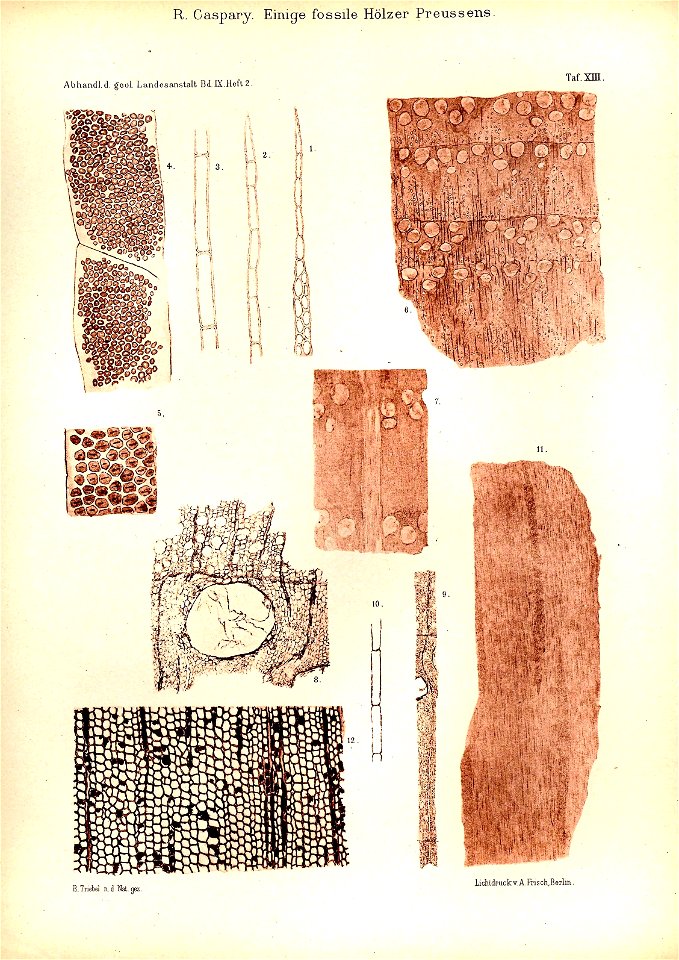 n58_w1150