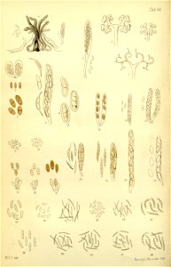 n104_w1150