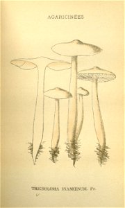 n195_w1150