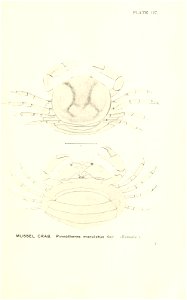 n934_w1150