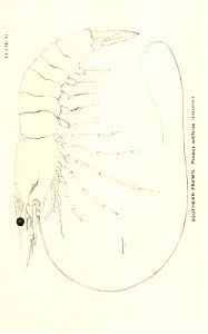 n844_w1150