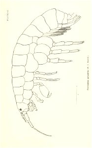 n784_w1150