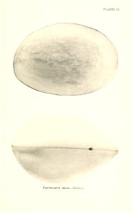 n694_w1150