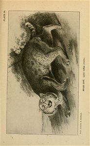 n362_w1150