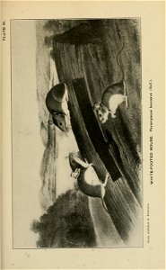 n302_w1150