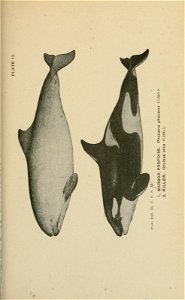 n272_w1150
