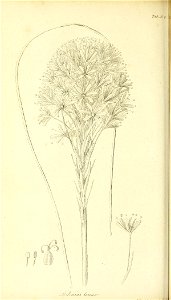 n301_w1150