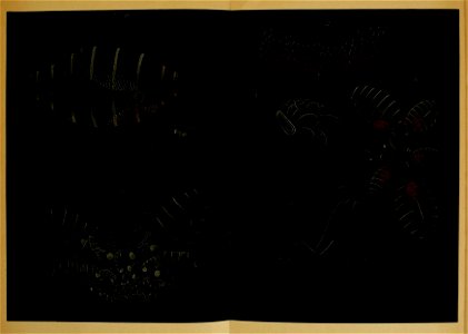 n36_w1150