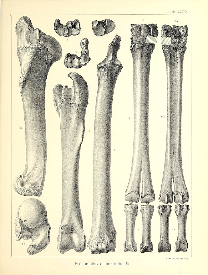 n632_w1150