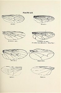 n808_w1150
