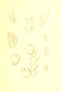 n282_w1150