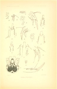 n152_w1150