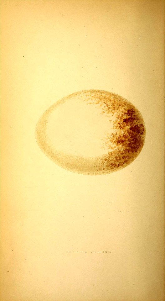n17_w1150